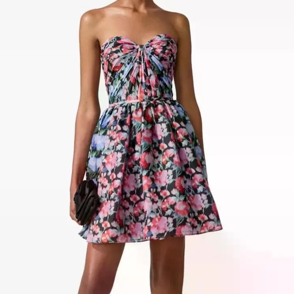 Carolina Herrera Dresses & Skirts - NWT New CAROLINA HERRERA Peony-Print Mini Dress Size 10